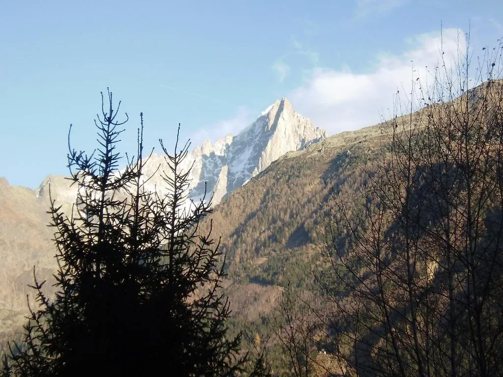 Studio Les Drus/Studio Du Brevent Apartment Chamonix