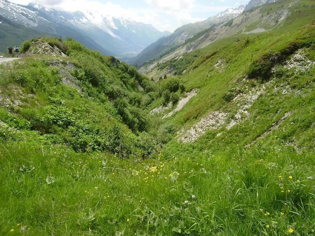 Studio Les Drus/Studio Du Brevent Apartment Chamonix