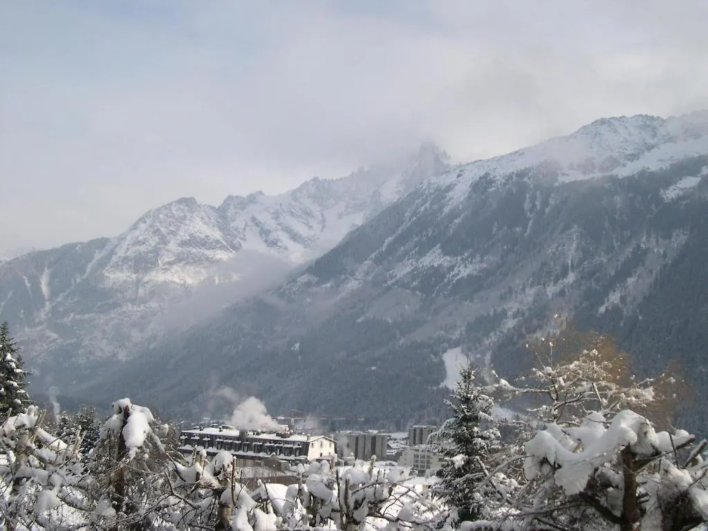 Studio Les Drus/Studio Du Brevent Apartment Chamonix